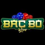 GRUPO VIP | BACBO 🎲🎰 🗣️