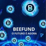 BEEFUND INVESTIMENTOS 🤝