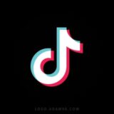 Seguidores TikTok 🎼 📢