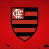 SOU FLAMENGO